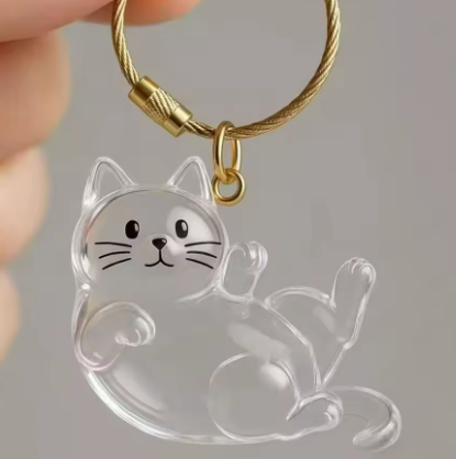 Recuerdo gato personalizado