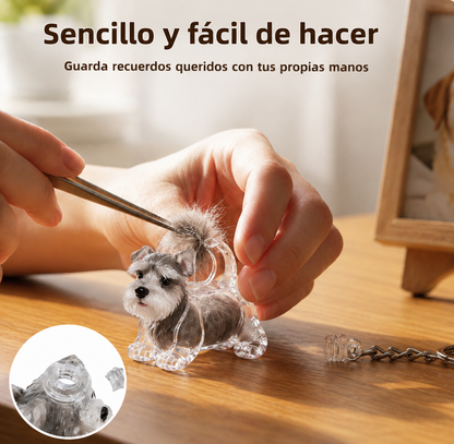 Recuerdo perro