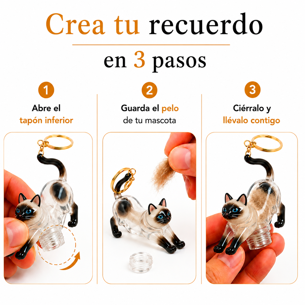 Recuerdo gato