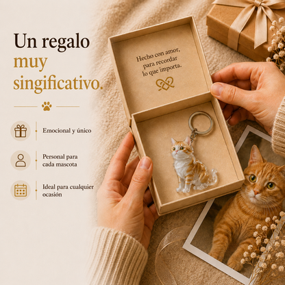 Recuerdo gato