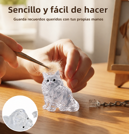 Recuerdo gato personalizado