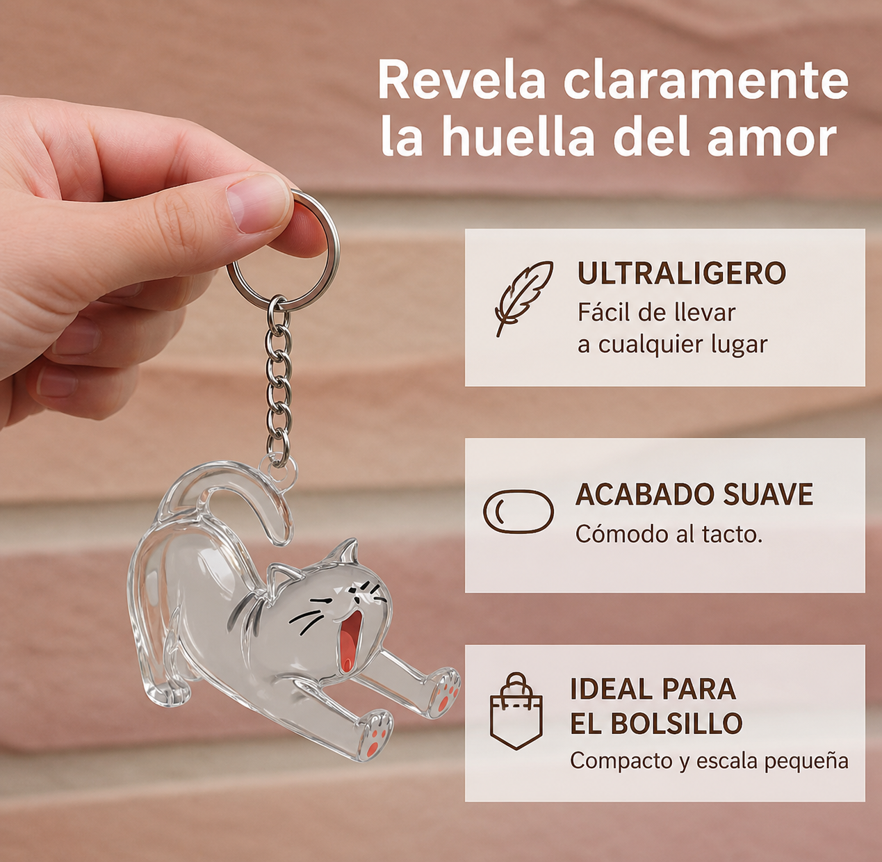 Recuerdo gato personalizado