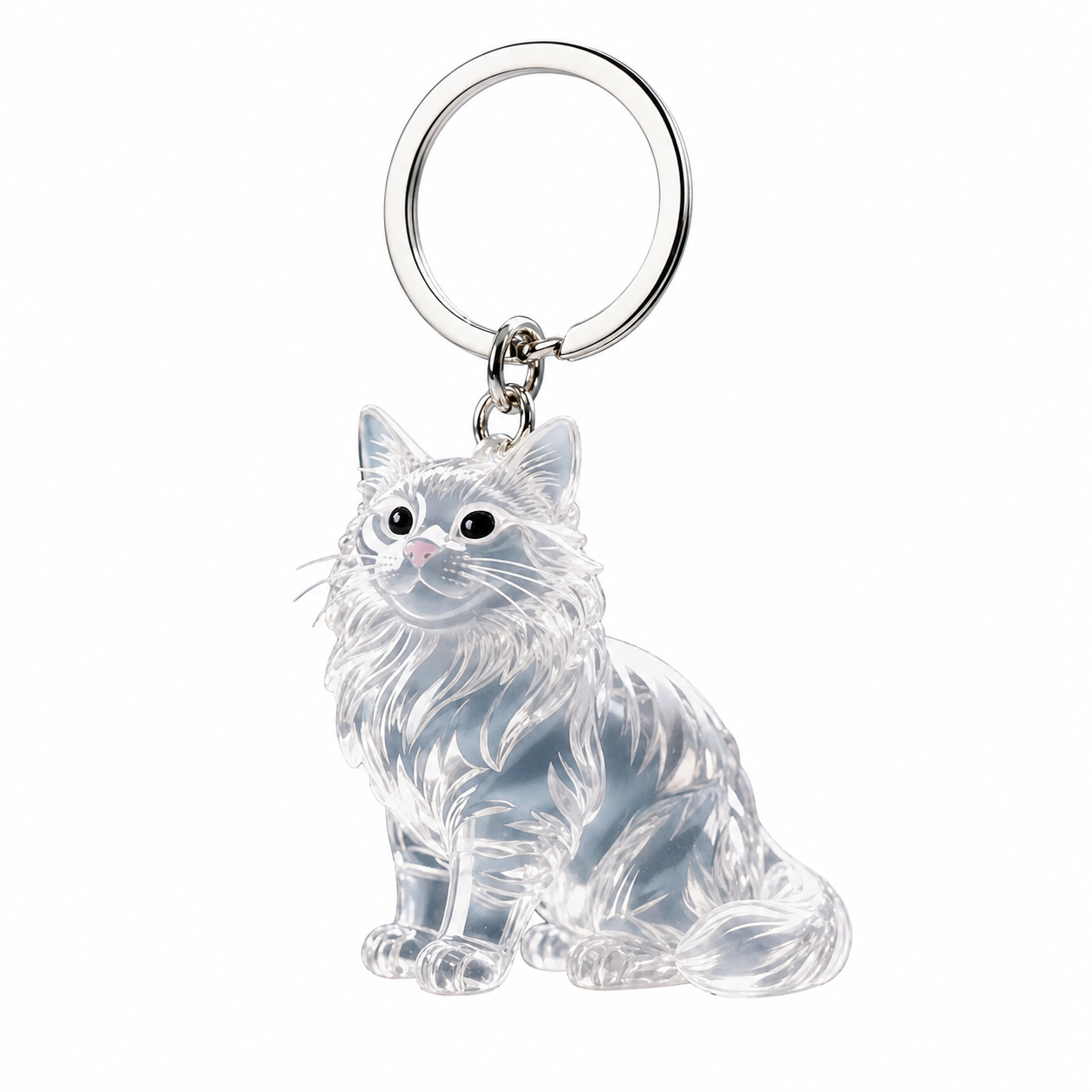 Recuerdo gato