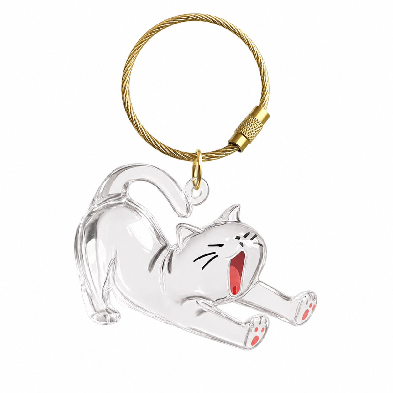 Recuerdo gato