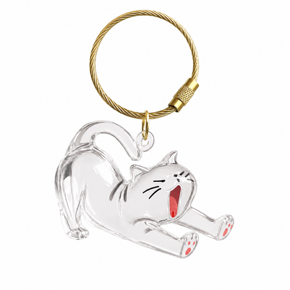 Recuerdo gato