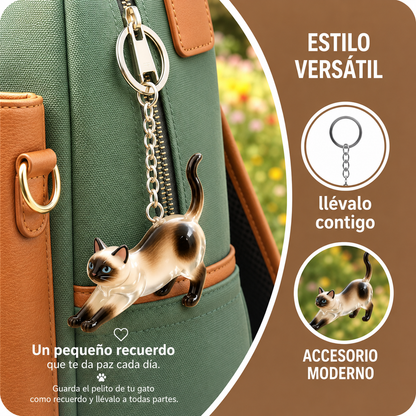 Recuerdo gato personalizado