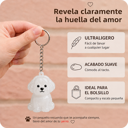 Recuerdo perro